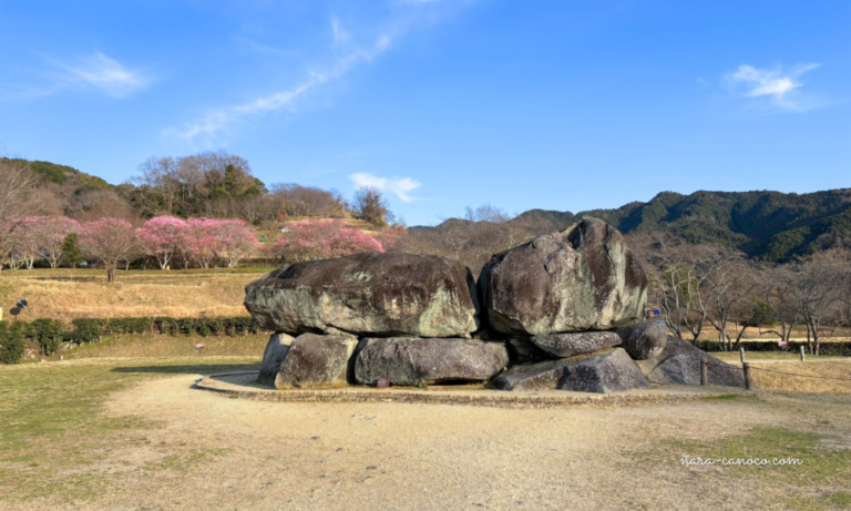 【飛鳥・藤原の宮都】巨大すぎる石のお墓！中に入れる「石舞台古墳」／明日香村 | canoco